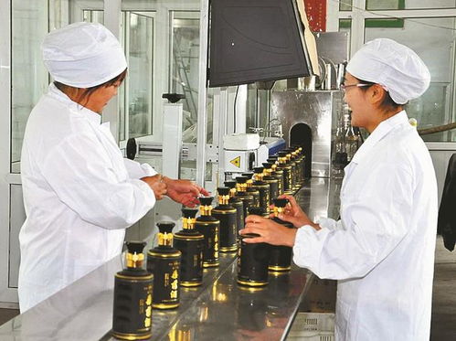 山西省非物質文化遺產 桑落酒制作技藝