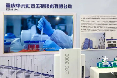 打探2021智博會,大渡口14家企業(yè)攜高科技產(chǎn)品亮相