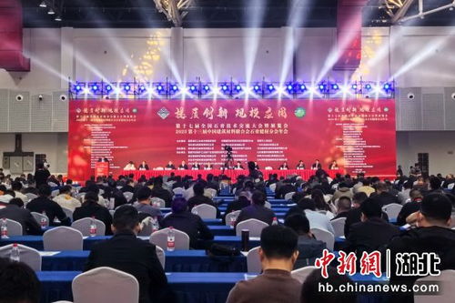 中新網(wǎng)湖北 全國石膏技術(shù)交流大會在宜都開幕